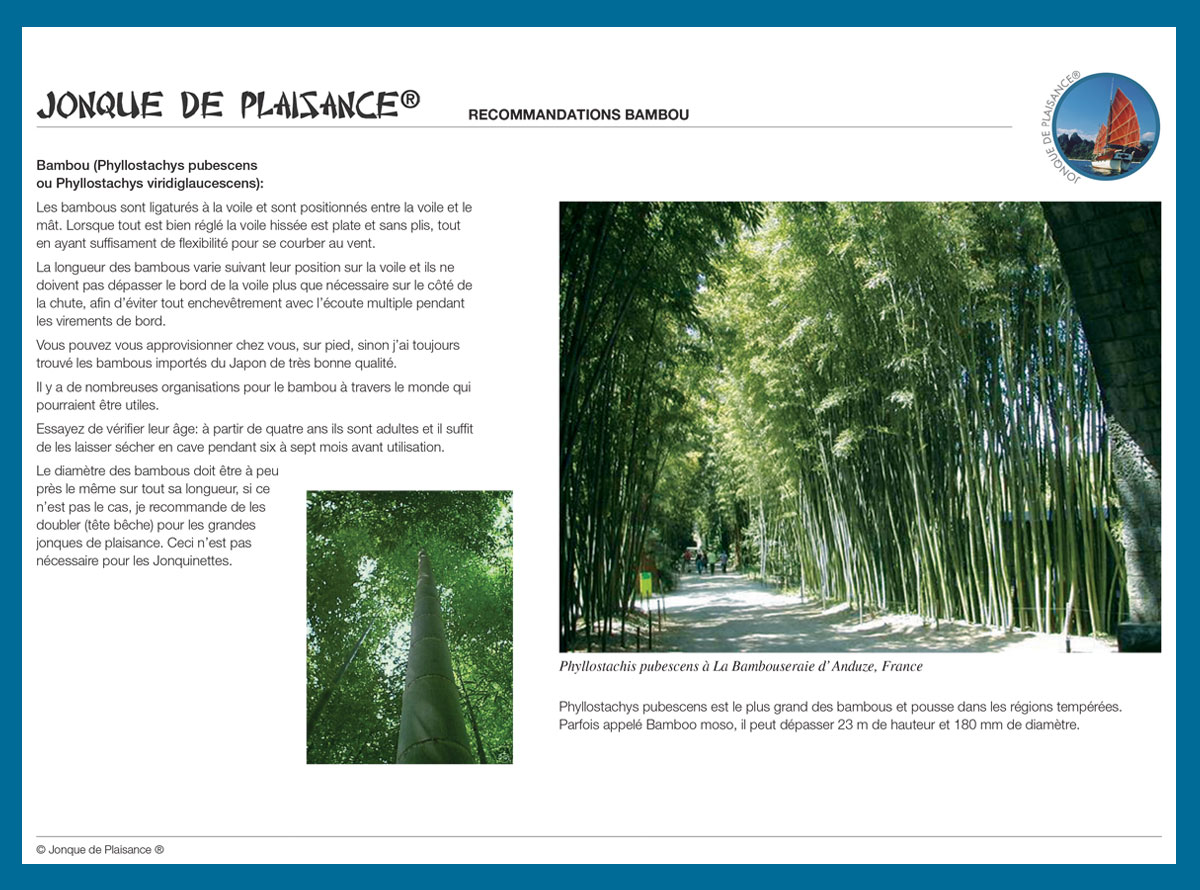 Recommandations bambou